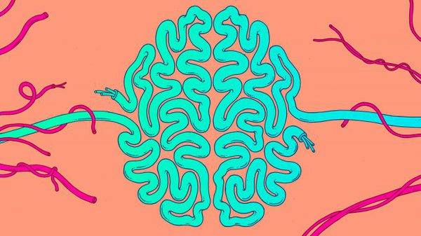 Учёные создали нейросеть с экстрасенсорными способностями
