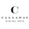 Callaway Digital Arts Inc. (-)  USD 6   1 