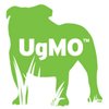 UgMO Technologies  USD 0.5   1 