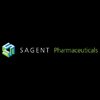 Sagent Holding Co. (, )  USD 100 Million IPO