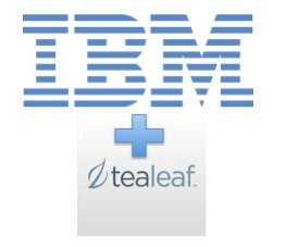 Tealeaf Technology Inc. (-, )  IBM