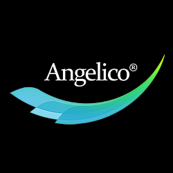 Angelico Ventures