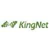 KingNet (, )  USD 15   2 