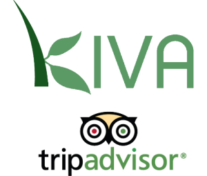 TripAdvisor  Kiva    
