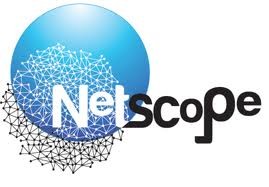 Netskope Inc. ()  $21.4M