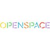 Openspace Store Inc. (, )  USD 0.5  