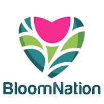 BloomNation LLC ()  $1.65M