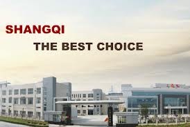 Shangqi Haokang () Technology Co. Ltd.  $1.23M