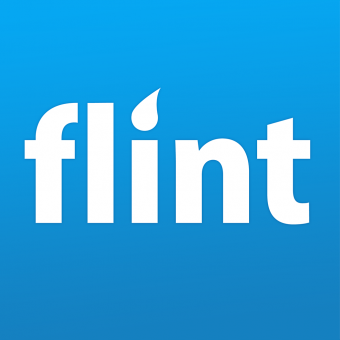  Flint Mobile    9,4  