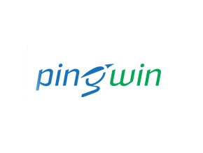 NGI          51% PingWin Software