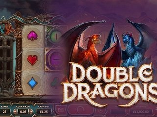 Обзор игрового автомата Double Dragons