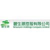 Besunyen Holdings Co. Ltd.  HKD 1,311.3-. IPO