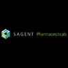 Sagent Holding Co. (Шаумбург, Иллинойс) планирует USD 100 Million IPO Sagent Holding Co. (Шаумбург, Иллинойс) планирует USD 100 Million IPO