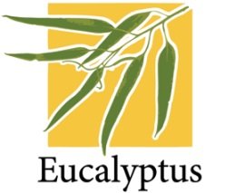 ���� ������������� �������������� � Eucalyptus Systems Inc.