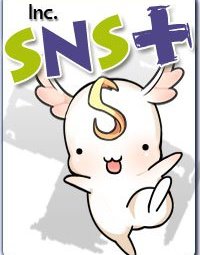SNSplus Inc. (�������) ���������� USD 4 ��� � 2-�� ������