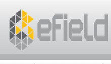 Efield AB (, )   ESI Group