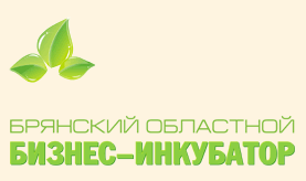 Bryansk business incubator holding the Best Business Project contest
