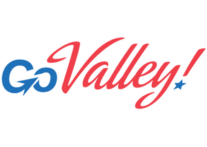 Go Valley! to show Silicon Valley to the startupers