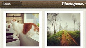   Pinstagram     Pinterest  Instagram