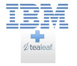 Tealeaf Technology Inc. (���-���������, ����������) ����������� IBM
