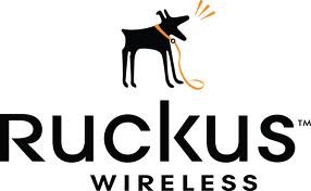 Ruckus Wireless Inc.  (, )  USD 100   IPO