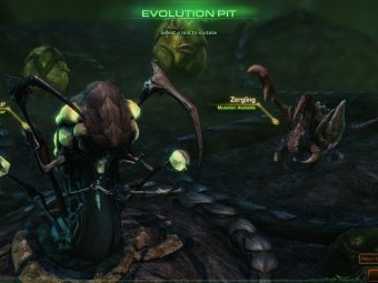� ���� StarCraft II: Heart of the Swarm �������� ���������� � ��-��������