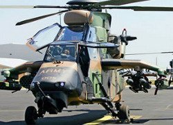 �������� �� ����� ��������� ������ ���������� Tiger