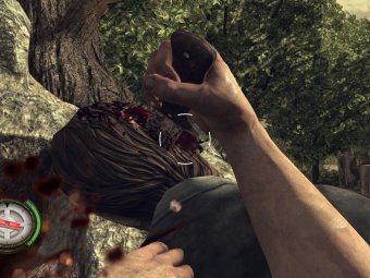 ������ � The Walking Dead: Survival Instinct