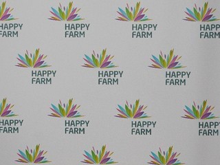 Ukrainian incubator Happy Farm announces second selection of startups
