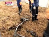 Из взорвавшегося Ми-8 взрывчатку выбрасывали руками