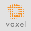 Voxel  5,5       