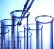 Novosibirsk region considers its own biotech cluster