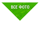 В Японии придумали действенную рекламу для мужчин - на бедрах девушек в мини (ФОТО) В Японии придумали действенную рекламу для мужчин - на бедрах девушек в мини (ФОТО)