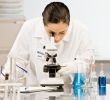 Russia approves biotech and genetic engineering development roadmap