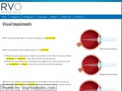 ReVision Optics Inc. (���� ������, ����������) ���������� USD 55 ���
