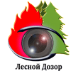 Forest Patrol developers unlock Latin America