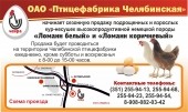 По поручению правительства ХМАО, РАД ищет желающих приобрести «Птицефабрику «Челябинская»