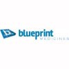 Blueprint Medicines Corp. (Кембридж, Массачусетс) привлекает USD 40 млн 
