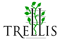 Trellis Automation Inc. ()  $0.6M