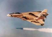���� ����������� F-14 ���� �������� �������� ������������ ������������