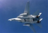 ���� ����������� F-14 ���� �������� �������� ������������ ������������