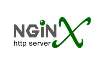 Russian service Nginx attracted more $10M