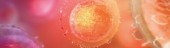 ���� �� Cancer Research ������� ������� ����� ��������� �� ����