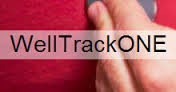 WellTrackONE Corp. (���) ���������� $0.89M