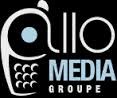 Groupe Allo-Media Sarl ()  $0.48M