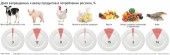 Через Белоруссию могут ввести до 20% запрещенных в России продуктов Через Белоруссию могут ввести до 20% запрещенных в России продуктов