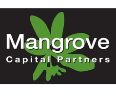  Mangrove Capital Partners    