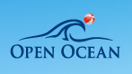 CEO MySQL и Nokia закрывают фонд на $60 млн для компании Open Ocean