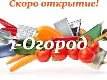 Sinergy of Innovation to invest in i-Ogorod web-service