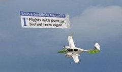 Впервые самолет произвел полет на биотопливе из водорослей